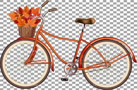 تصاویر دوچرخه و لوازم جانبی